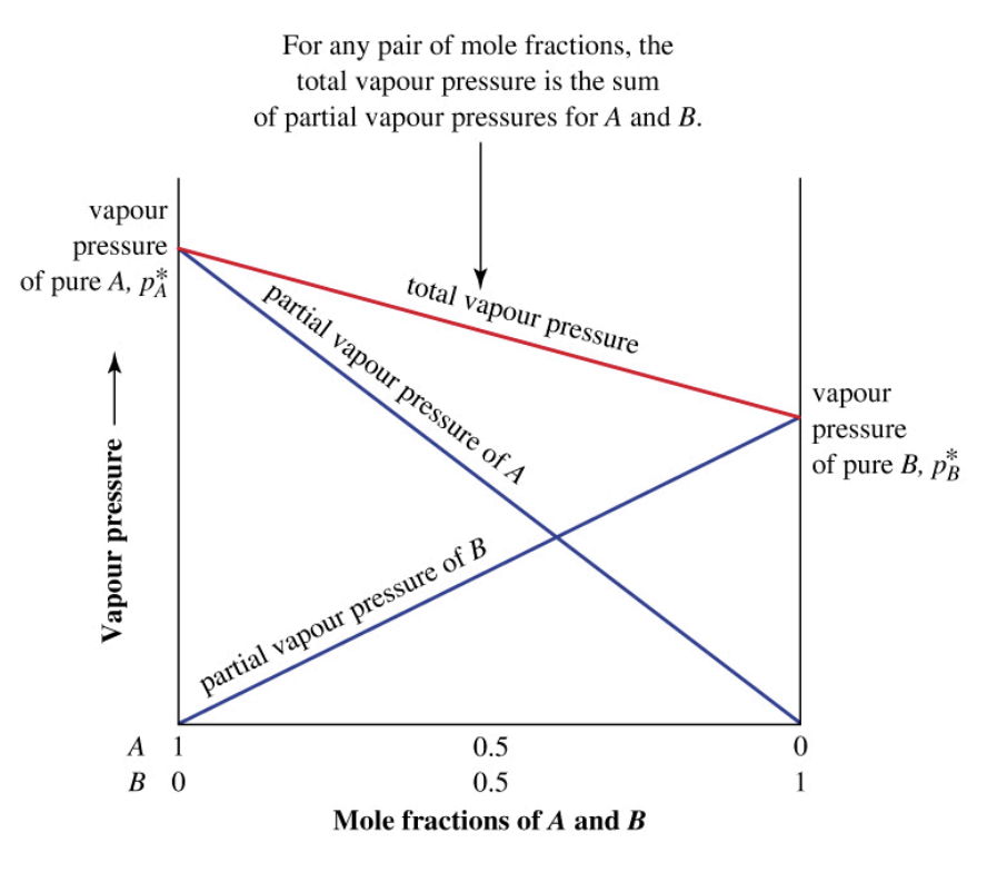 <p>In an ideal solution, the vapor pressure contribution of each liquid is “diluted” in proportion to how much of it is actually present.&nbsp;</p><p></p>