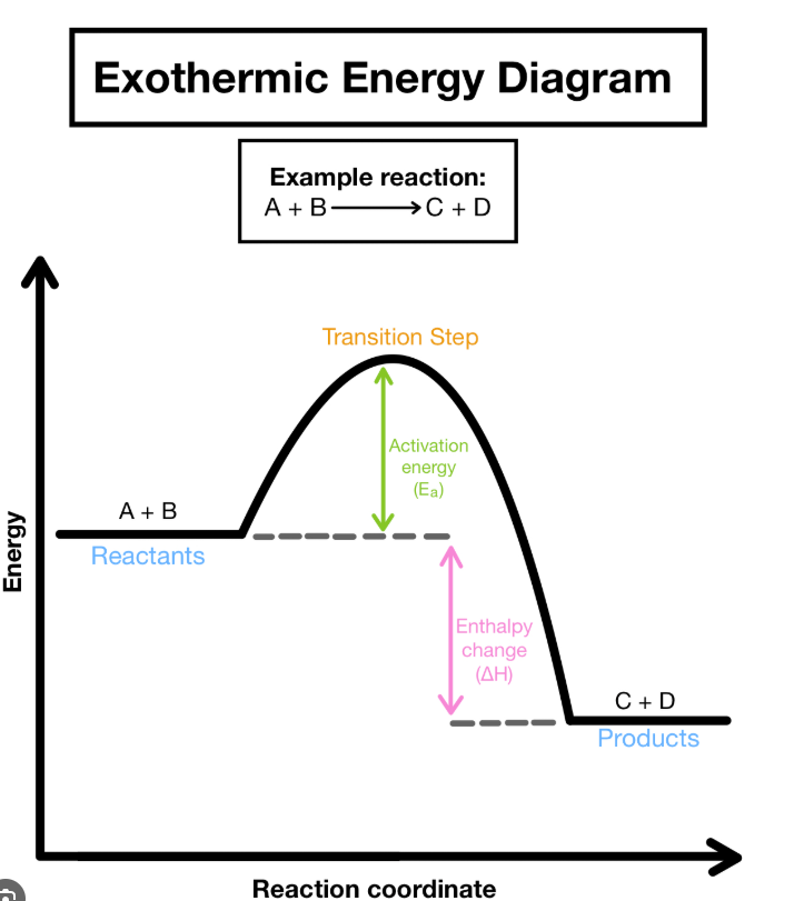 Top Part: Activated Complex