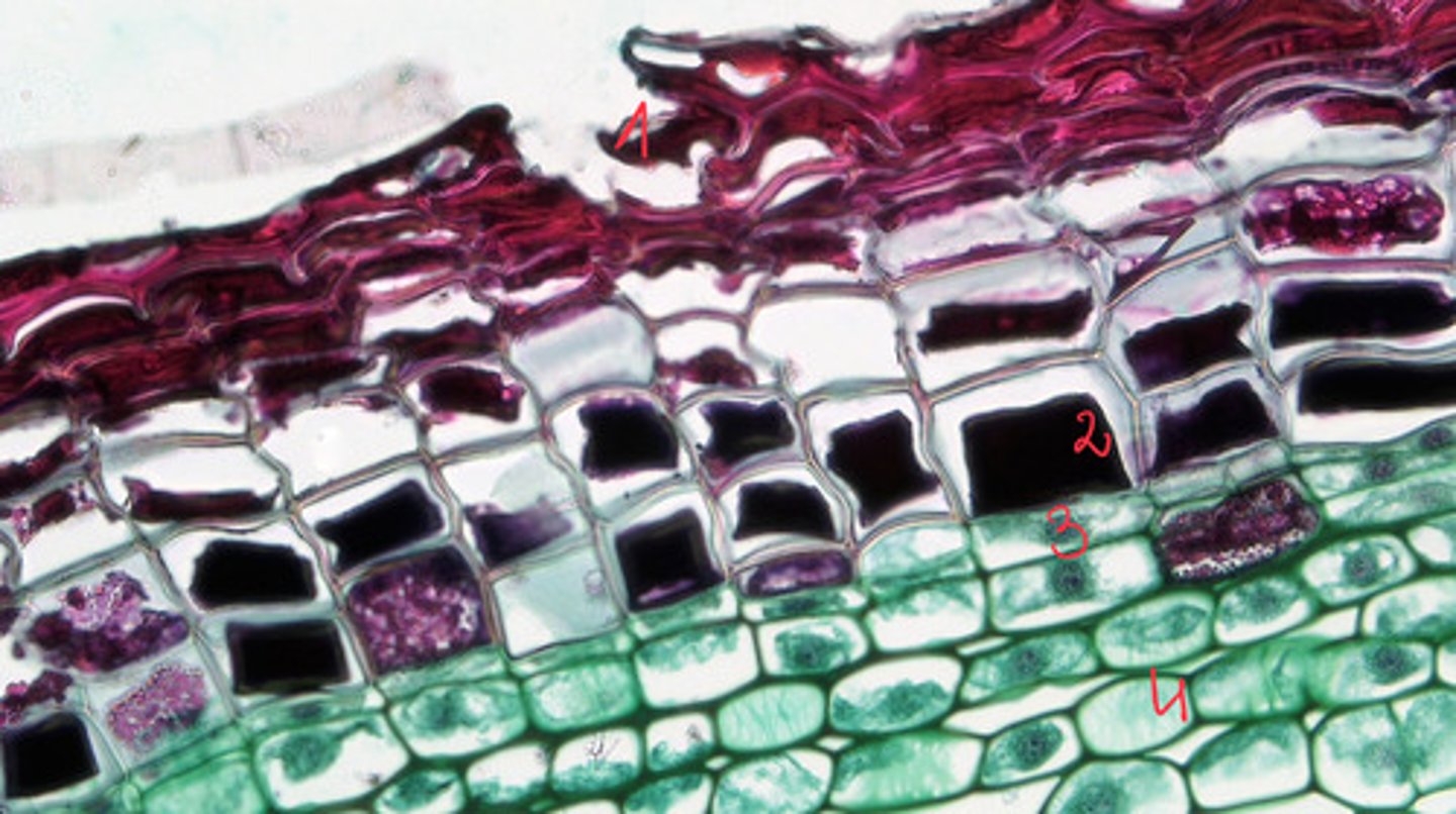 <p>2</p>