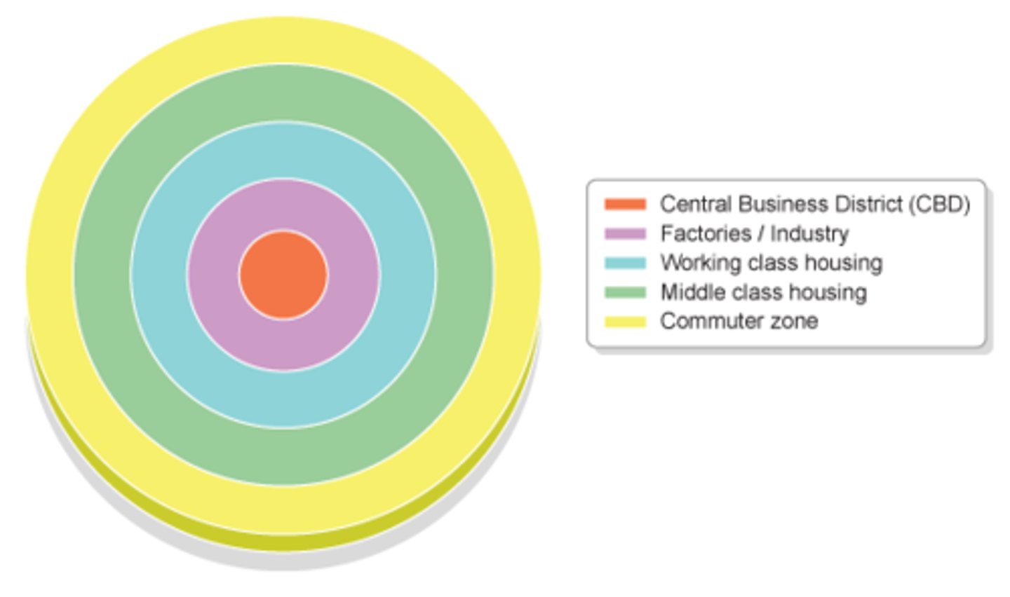 <p>land uses are arranged around the CBD in concentric circles, with the profitable uses being found closest to the city center</p>