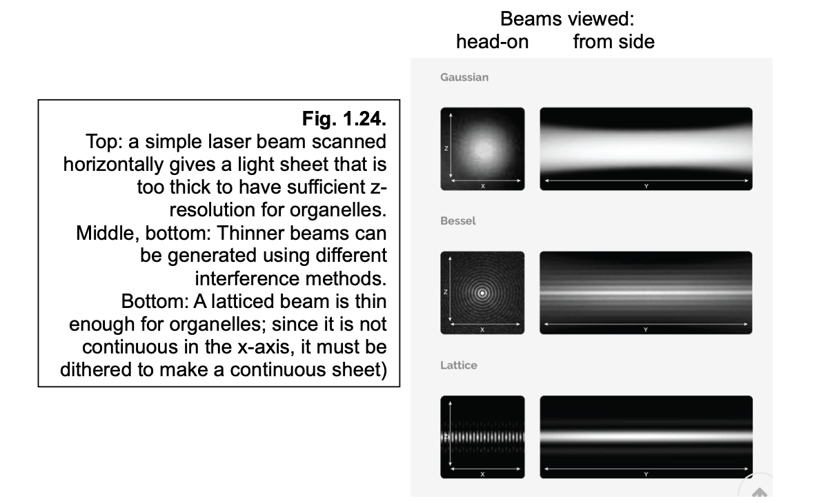 <ul><li><p>uses <strong>multiple beams</strong> (lattice) </p></li><li><p>to spread a thin light-sheet out across the entire imaging place</p></li><li><p>since it is not continuous in the x-axis→ it must be <strong>dithered</strong> to make a continuous sheet</p></li></ul><p></p>