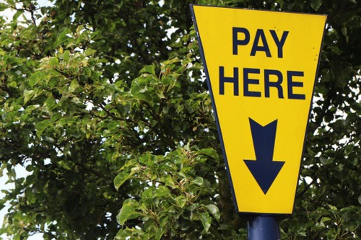 <p>стягувати плату</p>