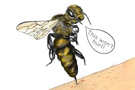 <p><span><strong>Belie:</strong></span></p>