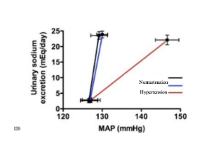 <p>understand teh diagram… waht does it mean </p>