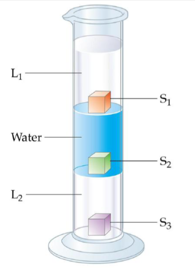 <p>What happens to the most dense?</p><p>Rank the liquids from most to least dense</p><p>Rank the cubs from most to least dense</p>
