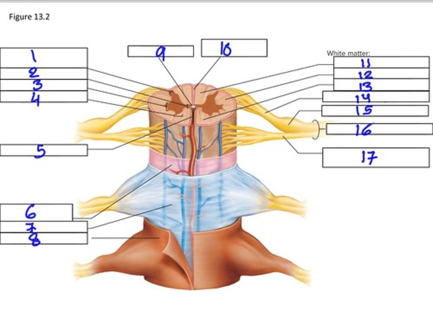 <p>6</p>