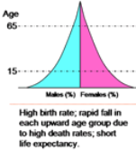 <ul><li><p>(pre-industrial): high birth &amp; death rate w/stable population</p><ul><li><p>Rarely found &amp; low life expectancy</p></li></ul></li></ul>