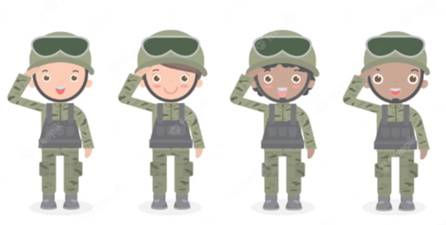 <p>es la fuerza militar de un país donde hay soldados.</p>