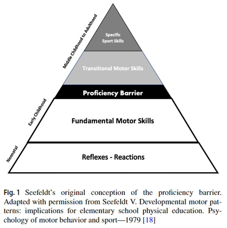 \- 1980 Seefeldt proposed the idea of a proficiency barrier

\- children need to engage in and practice skill-specific experiences consistently throughout childhood

\- children with more advanced skill levels were 2.5 times more likely to meet the MVPA guideline than lower skilled children