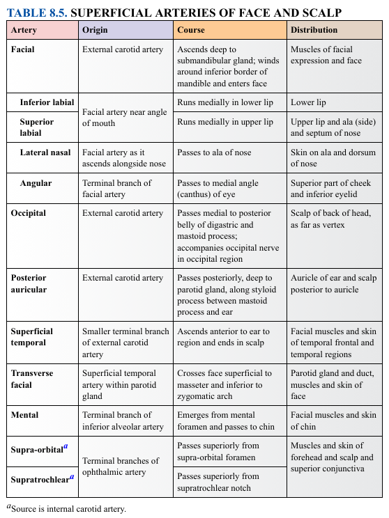 <p>TABLE 8.5. SUPERFICIAL ARTERIES OF FACE AND SCALP</p>