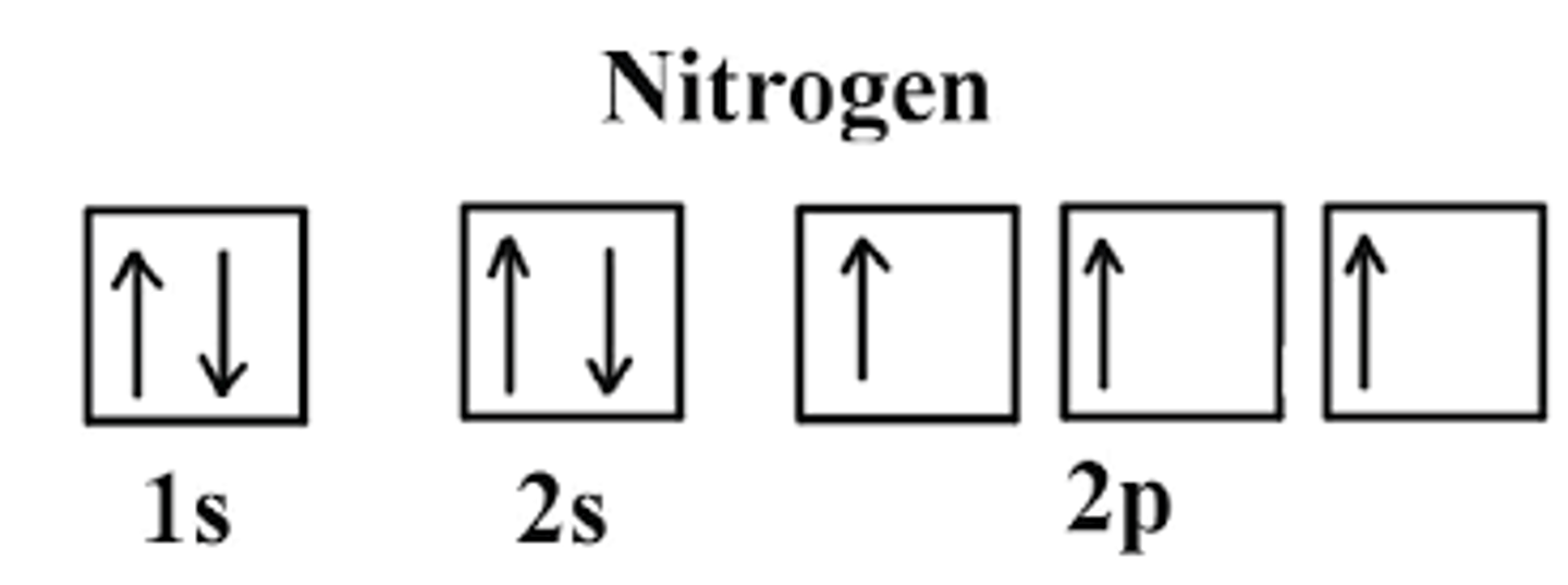 <p>1. Find the Electron Configuration of Oxygen:</p><p>1s2 2s2 2p3</p><p>2. There are a total for 8 electrons</p><p>3. Make sure to fill in the electrons (arrows) in EACH box first then you can go back and fill the rest in:</p>
