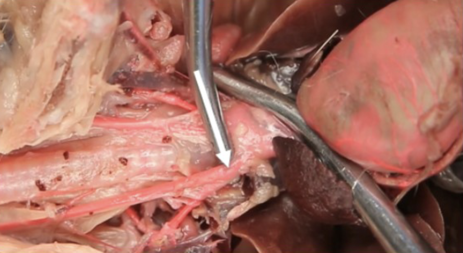 <p>What is this?</p>