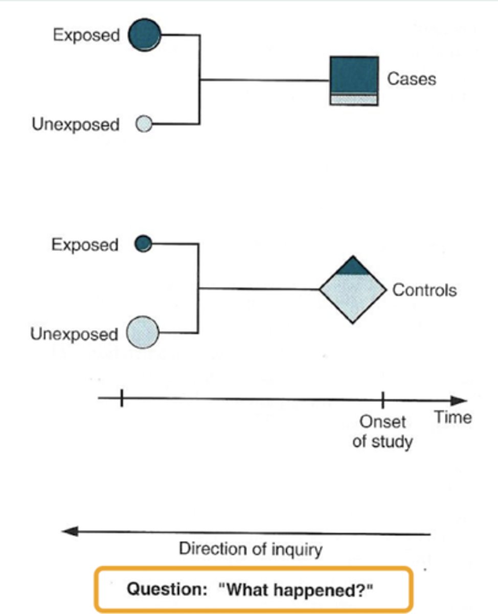<p>What type of study does this image show?</p>