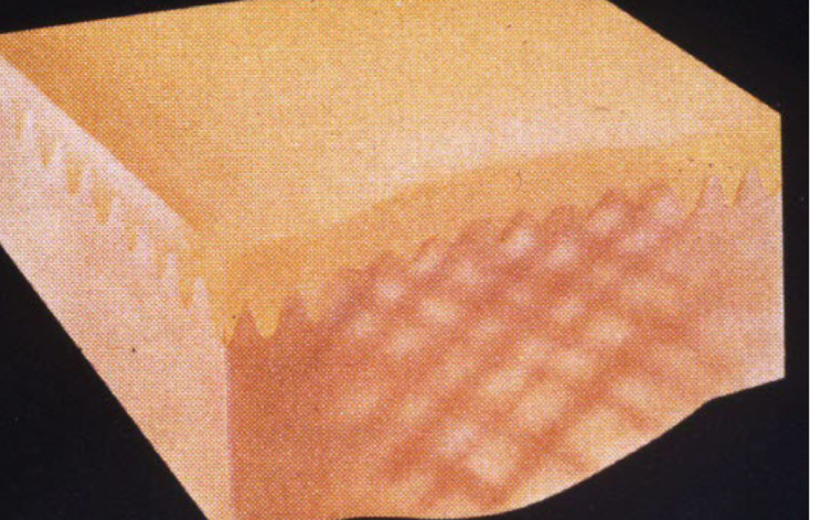 term image