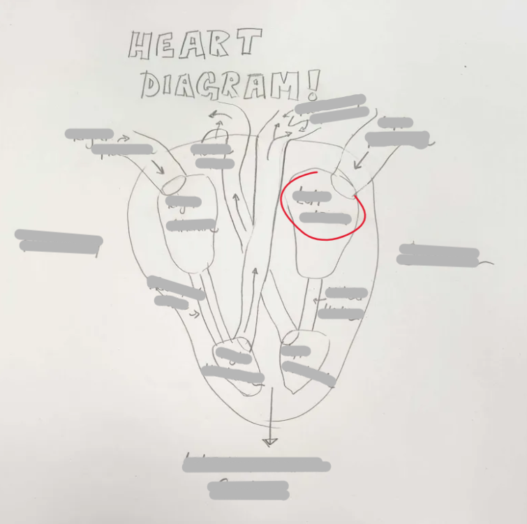 <p>What Structure is this? </p>