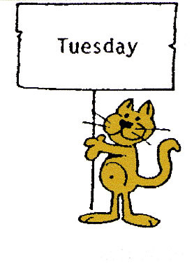 Tuesday