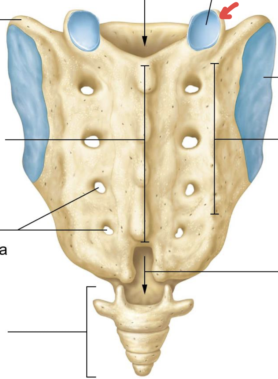 <p>what is this?</p>