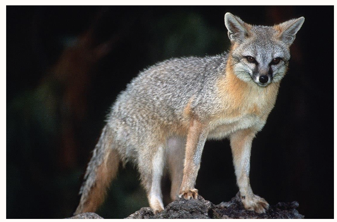 <p>What is this?</p>