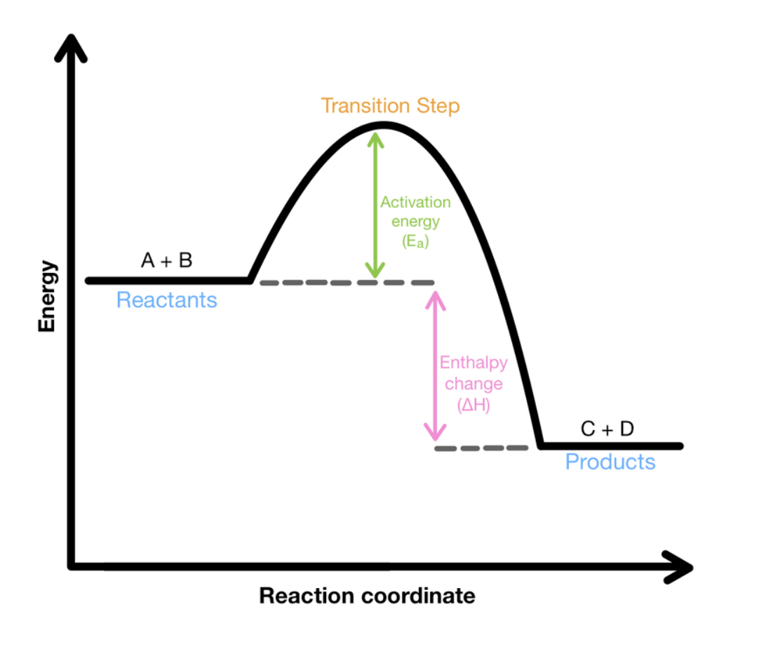 <p>Graph which depicts the changes in enthalpy in a reaction as it transforms from reactants to products. Has no absolute values for the either axis as it is impossible to measure enthalpy, and a reaction occurs instantaneously meaning time cannot be measures. These changes in enthalpy only occur during a reaction, meaning the enthalpy of reactants and products will be constant.</p>