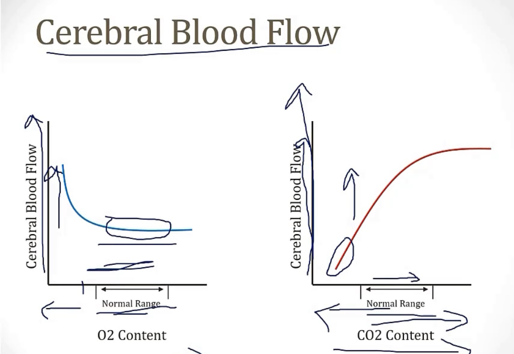 <p>-by CO2</p><p>-<span>If someone in a trauma has high intracranial pressure, you hyperventilate them, which will crash the CO2, and decrease cerebral blood flow, which decreases the amount going into their brain, where they may have intracerebral bleeding</span></p>