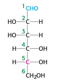 <p>What is the name of the sugar depicted in the image?</p>