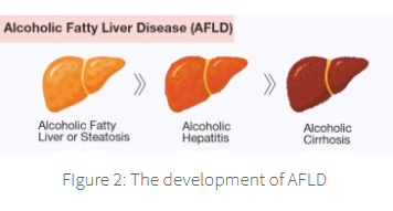 <p>NADH + acetate → fatty acids</p>