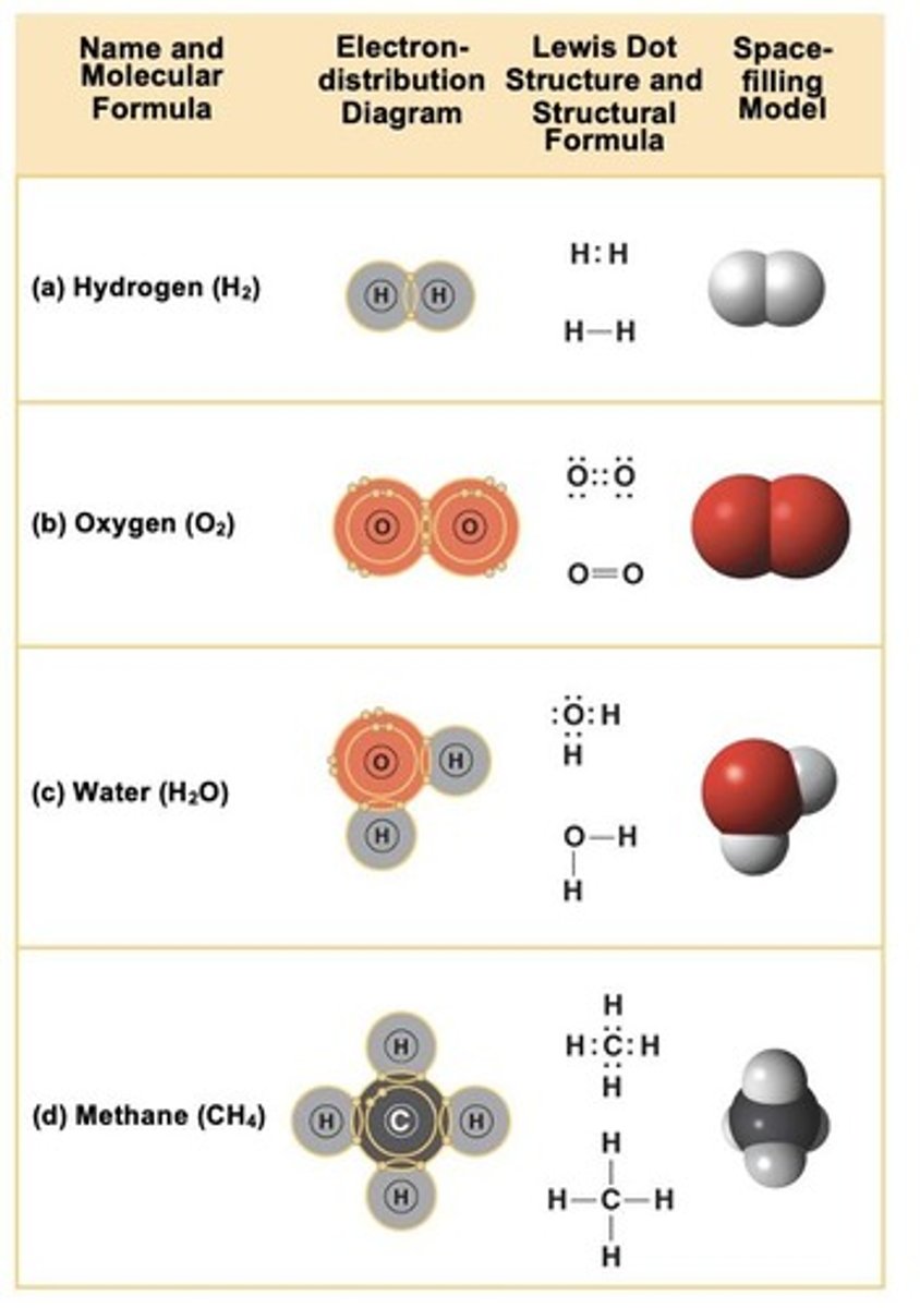 <p>Methane (CH4), where carbon shares electrons with hydrogen.</p>