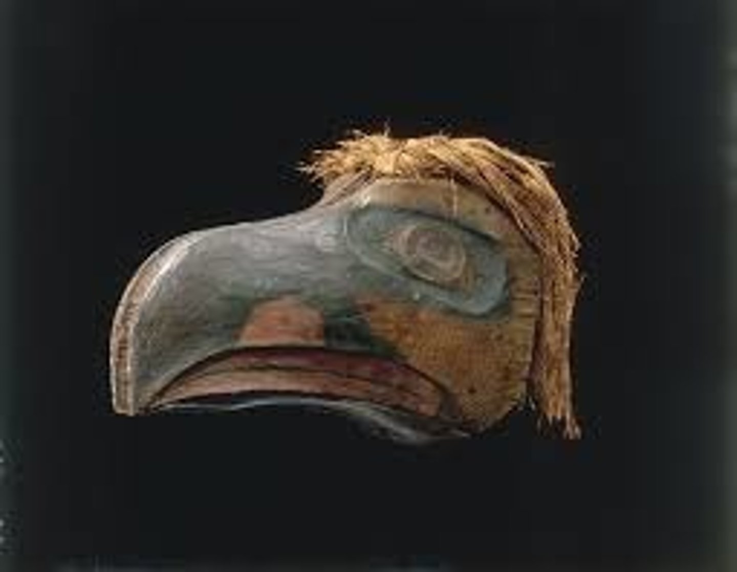 <p>Kwakwaka'wakw, wood paint and string<br><br>Diverse group of people that all believe dead ancestors roam the earth and transform themselves<br><br>COMPLETE BODY COSTUME in a DANCE PERFORMANCE, pulls strings to close mask.<br>Worn during a potlatch (status ceremony)<br>Mask represented the upper class, displayed family seals. <br>Linked families to supernatural ancestral lineages<br><br>Ravens/eagles signifigant! Ravens: tricksters, useful to humans. Eagles thunderbirds! POWERR<br><br>Formline style (primary colors, round shaves, wood carving)</p>