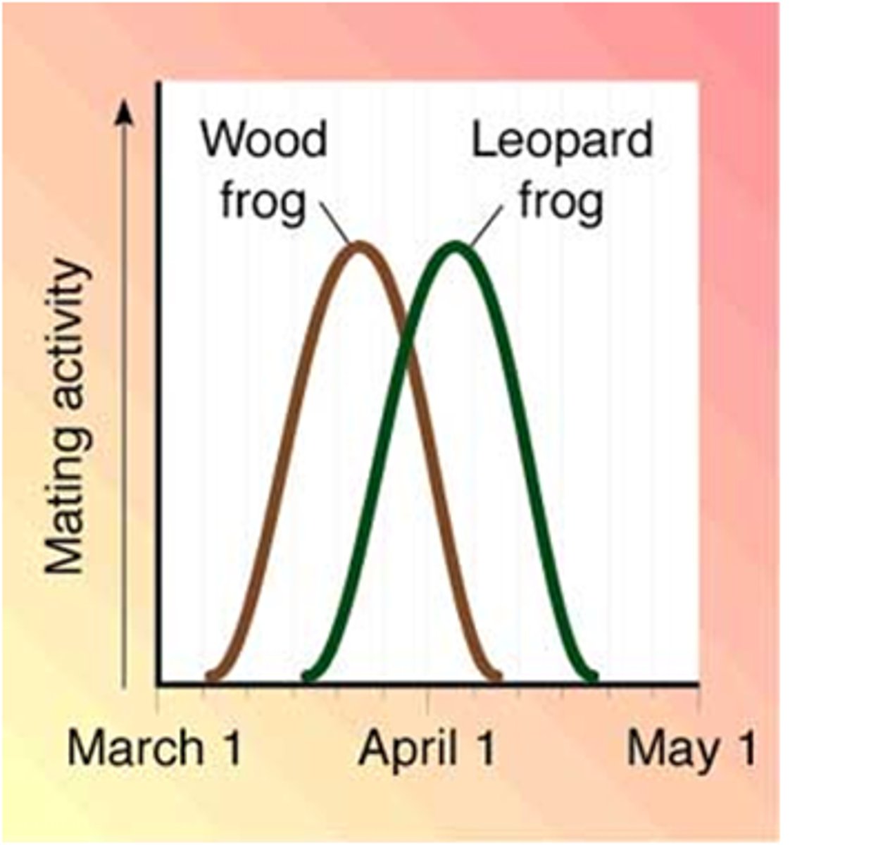 <p>When two species breed at different times of day, season, or years.</p>