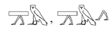 term image