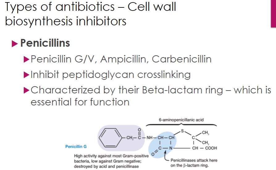 <p>Cell wall biosynthesis inhibitor</p>