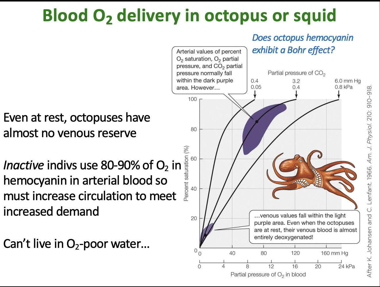 <p>what does this slide show?</p>