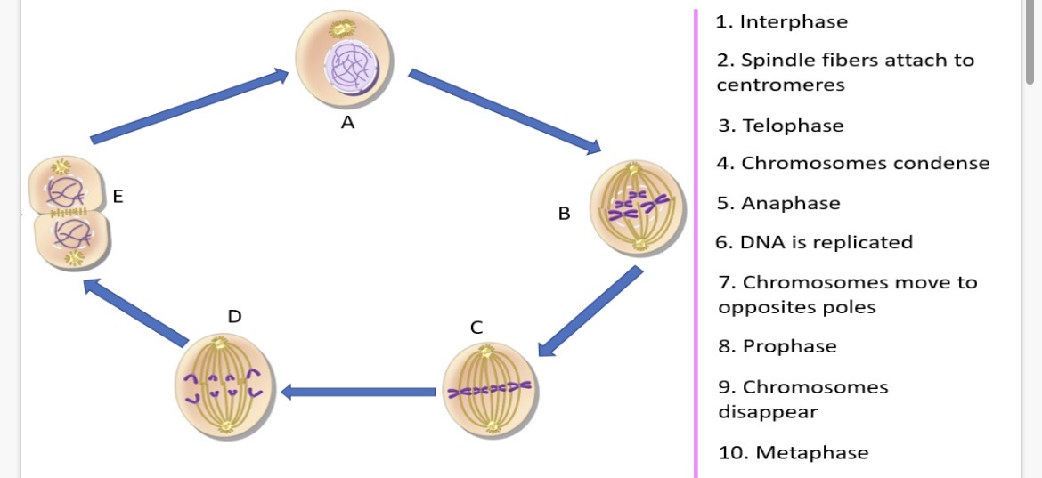 <p>Complete the task:</p>
