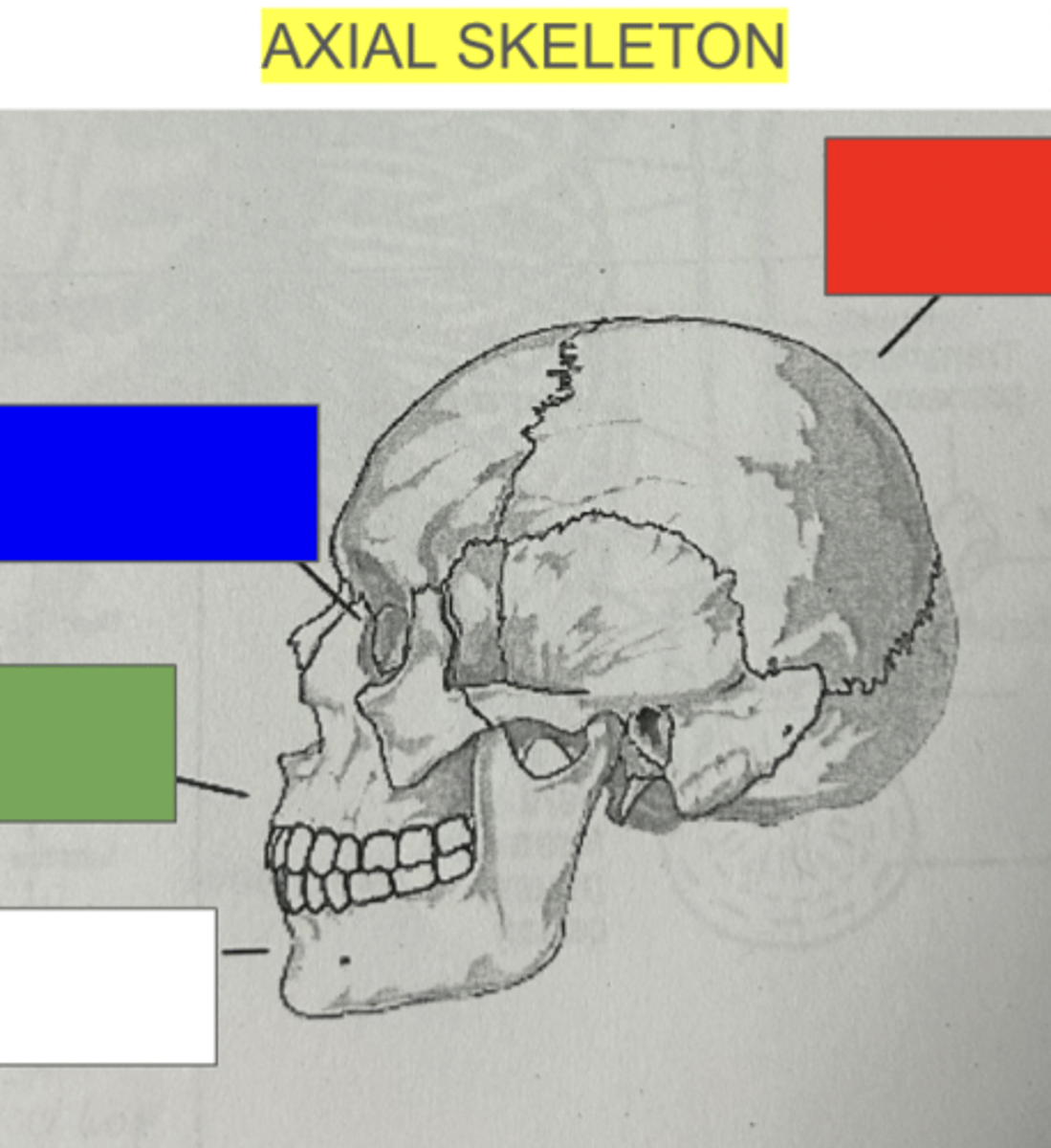 <p>what does the blue (top left) box point to</p>