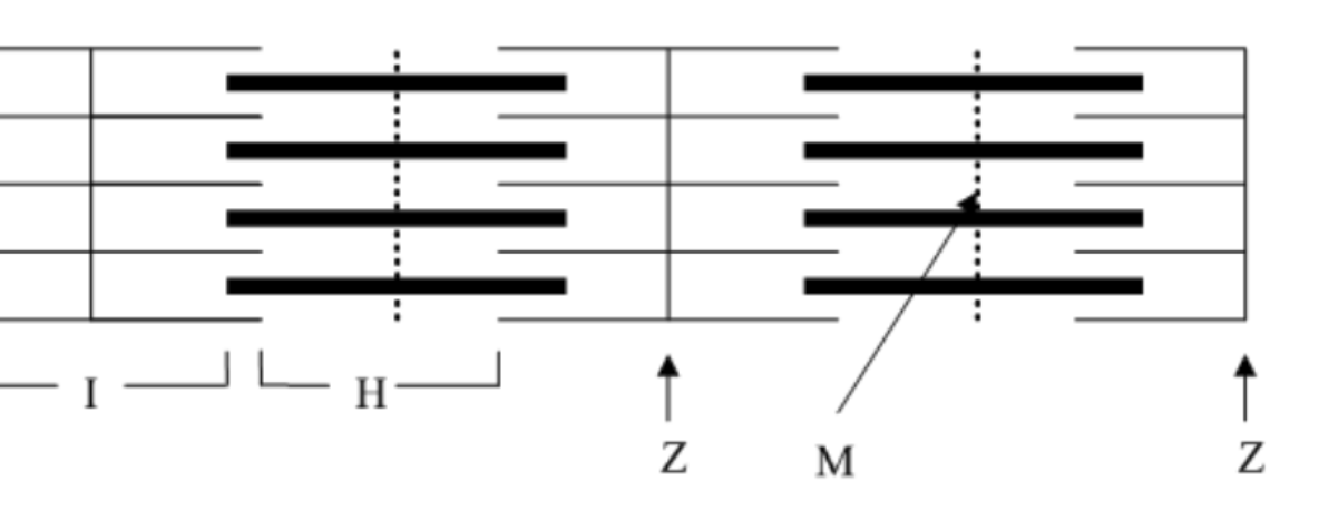 <p>boundary between sarcomeres</p>