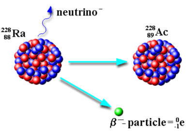 <p>What is beta decay? (beta minus decay)</p><p>Keep in mind:</p><table style="min-width: 75px;"><colgroup><col style="min-width: 25px;"><col style="min-width: 25px;"><col style="min-width: 25px;"></colgroup><tbody><tr><td colspan="1" rowspan="1" style="border-width: 1pt; border-style: solid; border-color: rgb(0, 0, 0); vertical-align: top; padding: 5pt; overflow: hidden; overflow-wrap: break-word;"><p><span style="background-color: transparent;">Symbol</span></p></td><td colspan="1" rowspan="1" style="border-width: 1pt; border-style: solid; border-color: rgb(0, 0, 0); vertical-align: top; padding: 5pt; overflow: hidden; overflow-wrap: break-word;"><p><span style="background-color: transparent;">Change in Mass #</span></p></td><td colspan="1" rowspan="1" style="border-width: 1pt; border-style: solid; border-color: rgb(0, 0, 0); vertical-align: top; padding: 5pt; overflow: hidden; overflow-wrap: break-word;"><p><span style="background-color: transparent;">Change in Atomic #</span></p></td></tr><tr><td colspan="1" rowspan="1" style="border-width: 1pt; border-style: solid; border-color: rgb(0, 0, 0); vertical-align: top; padding: 5pt; overflow: hidden; overflow-wrap: break-word;"><p>β</p></td><td colspan="1" rowspan="1" style="border-width: 1pt; border-style: solid; border-color: rgb(0, 0, 0); vertical-align: top; padding: 5pt; overflow: hidden; overflow-wrap: break-word;"><p><span style="background-color: transparent;">0</span></p></td><td colspan="1" rowspan="1" style="border-width: 1pt; border-style: solid; border-color: rgb(0, 0, 0); vertical-align: top; padding: 5pt; overflow: hidden; overflow-wrap: break-word;"><p><span style="background-color: transparent;">+1</span></p></td></tr></tbody></table><p></p>