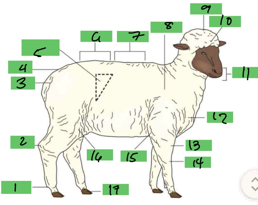 <p>5</p>