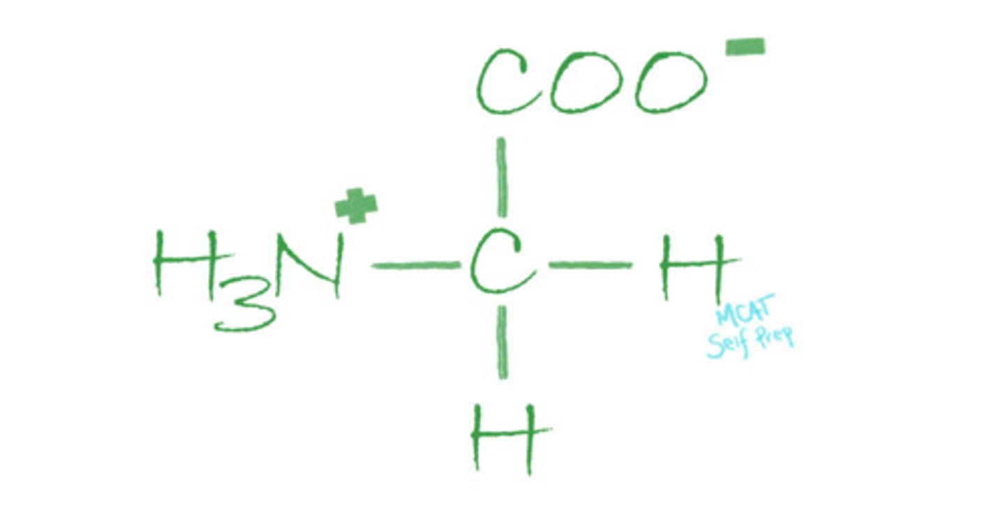 <p>(C) Gly</p><p>Glycine is the only amino acid that does not have a chiral alpha carbon.</p><p>Struggling with the one-letter abbreviations, three-letter abbreviations, structures, and the essential properties of Amino Acids? Learn how to conquer any Amino Acid MCAT question using Andrew's Amino Acid Mastery Course @ https://mcatselfprep.com/course/andrews-amino-acid-mastery-course/</p>