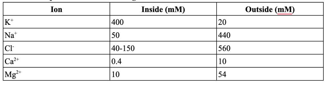 knowt flashcard image