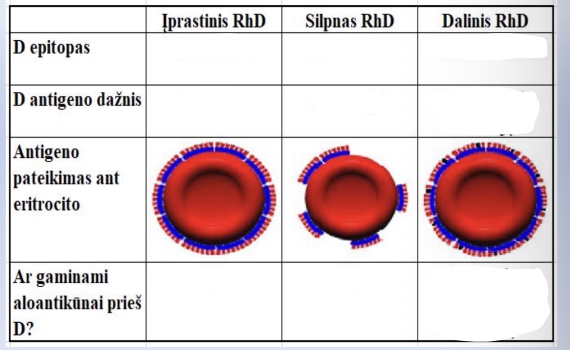 <p>RhD antigeno variantu skirtumai</p>