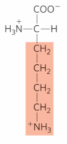 <p>What is this?</p>