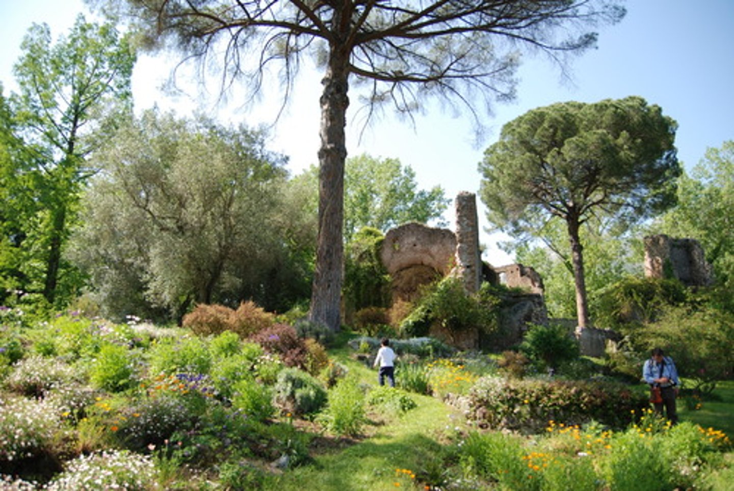 <p>(adj.) characteristic of the countryside, rural; relating to shepherds and cowherds, pastoral</p><p>Synonyms: rustic</p><p>Antonyms: metropolitan</p>