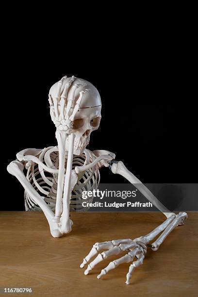 <p>bone</p>