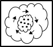 <p>Which step number of solar system formation is this?</p>