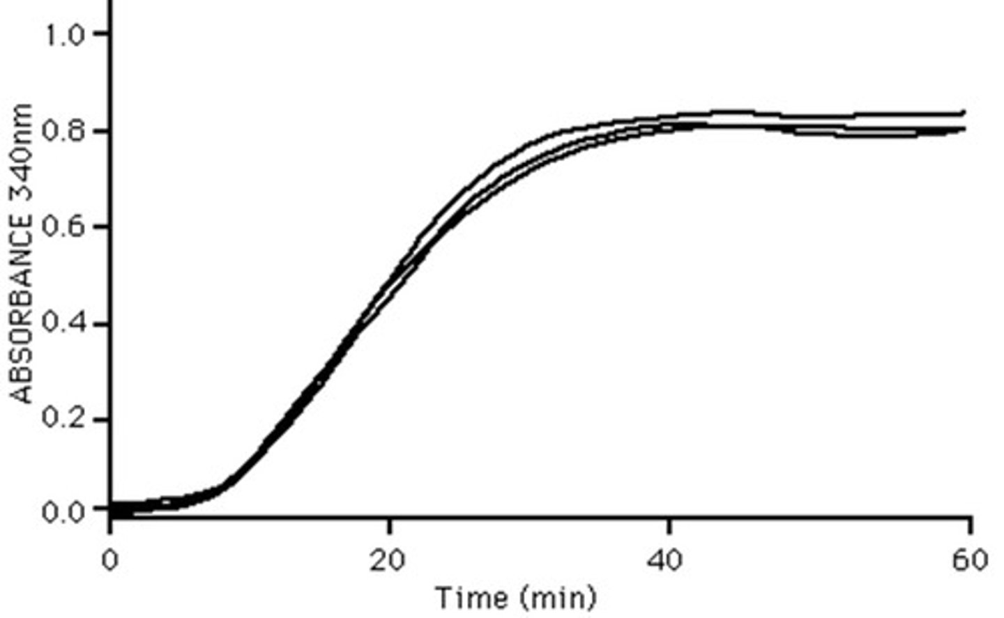 <p>Where a graph levels off and no longer increases past a certain point</p>