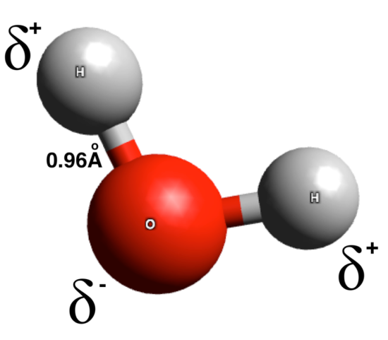 * have polar bonds 
* a shape that allows for a positive end and a negative end
* **dipole** → molecule with two poles 

   