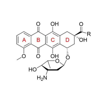 <ul><li><p>4 fused rings- A,B,C,D</p></li><li><p>sugar group attached to D ring (L-daunosamine)</p></li></ul><p></p>