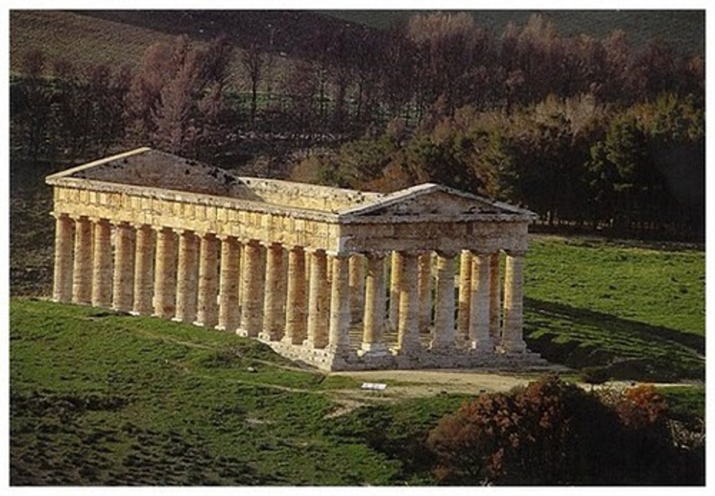 term image