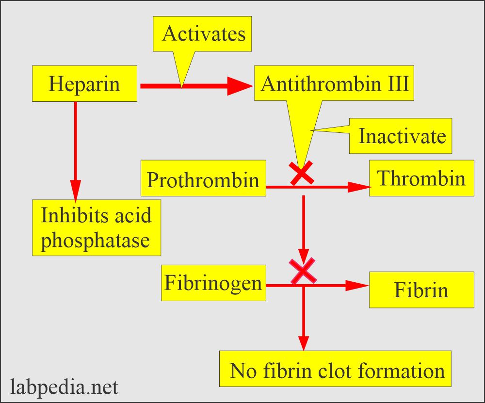 <ul><li><p>parentral</p></li><li><p>high bound to plasma proteins</p></li><li><p>low bioavailabiliy</p></li><li><p>rapid</p></li><li><p>short half life</p></li><li><p>no need for dose adjustment in renal failure</p></li><li><p>safe during pregnancy and lactation</p></li><li><p>antidote: protamine sulfate</p></li></ul><p>mechanism of action:</p><ul><li><p>bind to antithrombin3</p></li><li><p>inhibit factors 2,10,11,12,13</p></li><li><p>inhibit free thrombin only</p></li><li><p>monitor by aPTT, CT</p></li></ul><p></p>