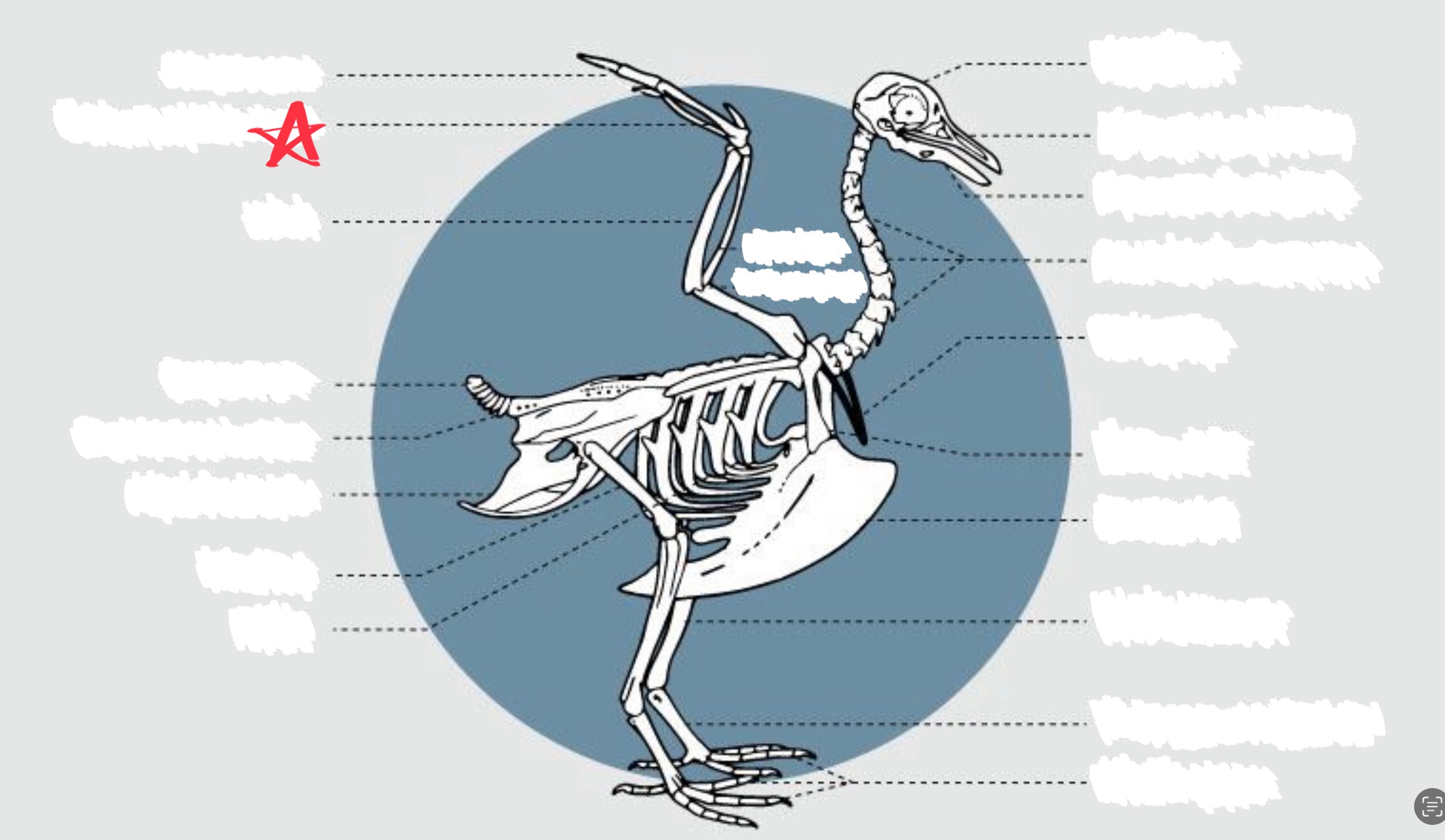 knowt flashcard image